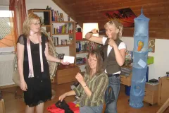 2007_01355