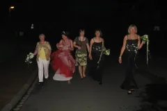 2009_00529