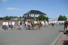 2009_00729