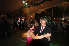 2013_0871