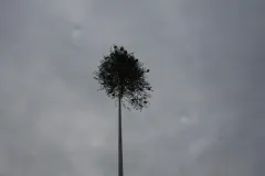 2015_00053