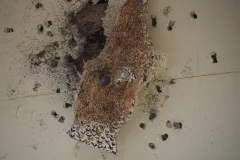 2019_00691