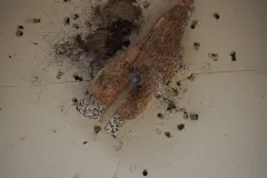 2019_00702