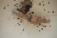 2019_00706
